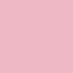 Rosa flamingo 0526